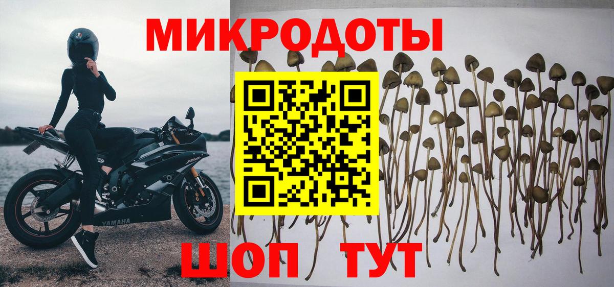 Галлюциногенные грибы Psilocybine cubensis  Псилоцибиновые грибы MAGIC MUSHROOMS  Иваново  Вход с VPN 